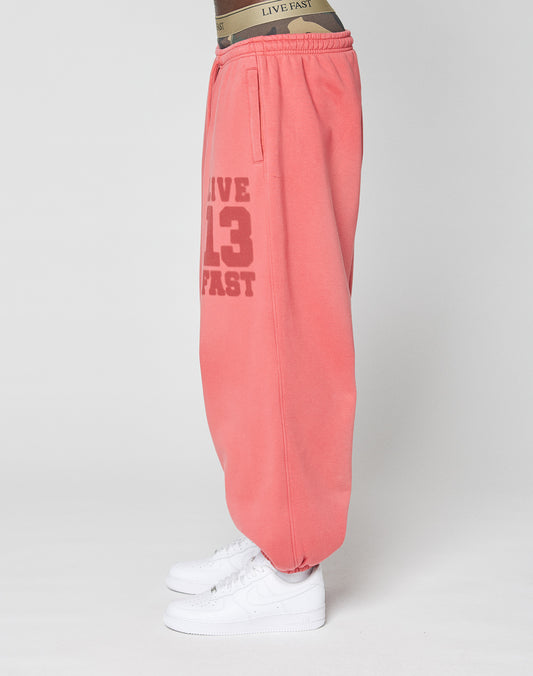 LFDY 13 Jogger