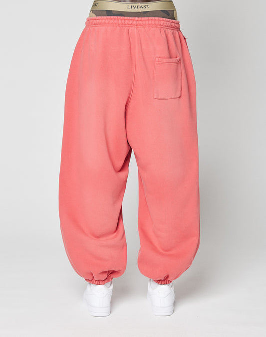 LFDY 13 Jogger