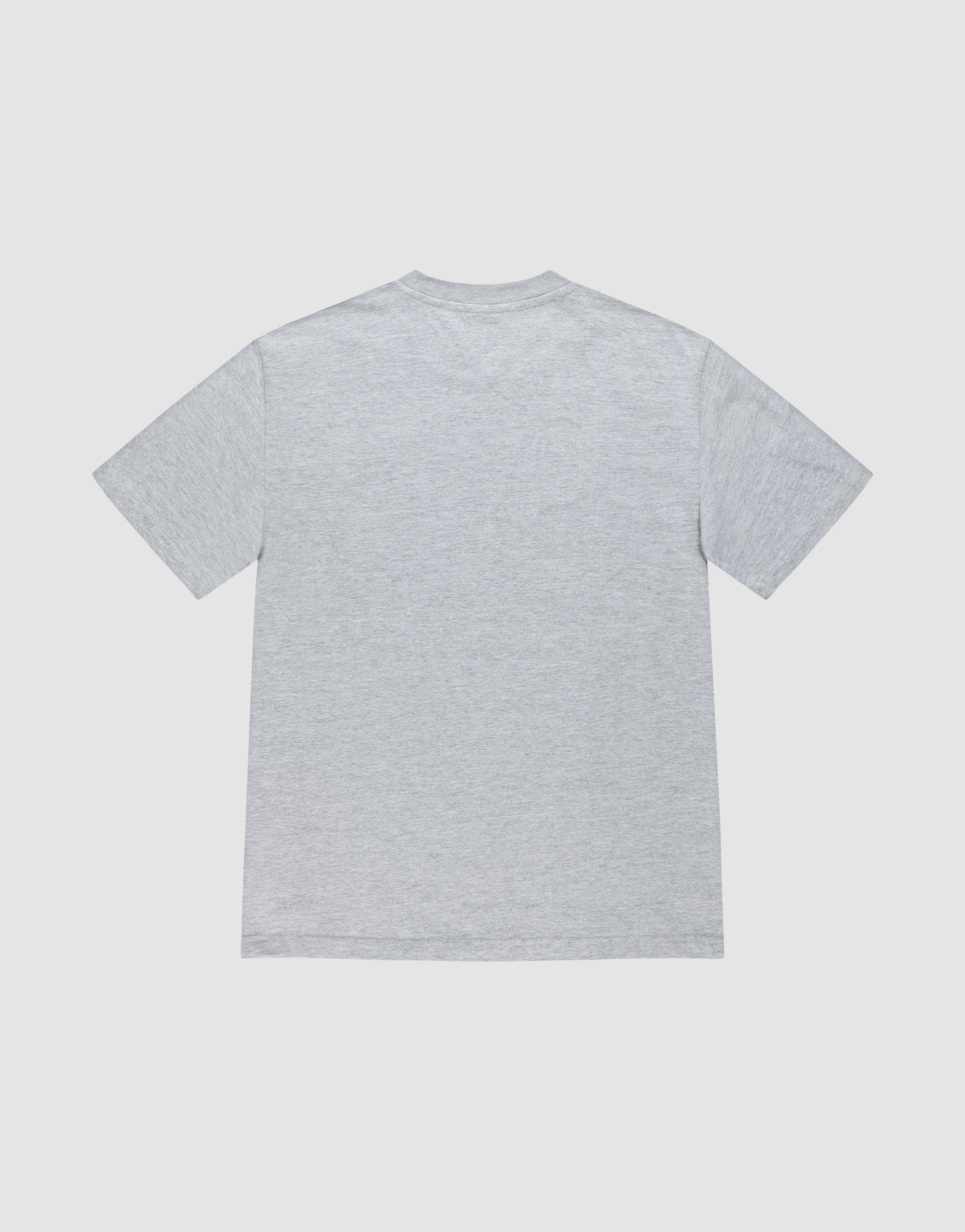 The LFDY Crash Kid Tee by LIVE FAST DIE YOUNG is a light gray short-sleeve t-shirt made from 100% Baumwolle, shown from the back on a white background, designed for a comfortable regular fit and everyday style.
