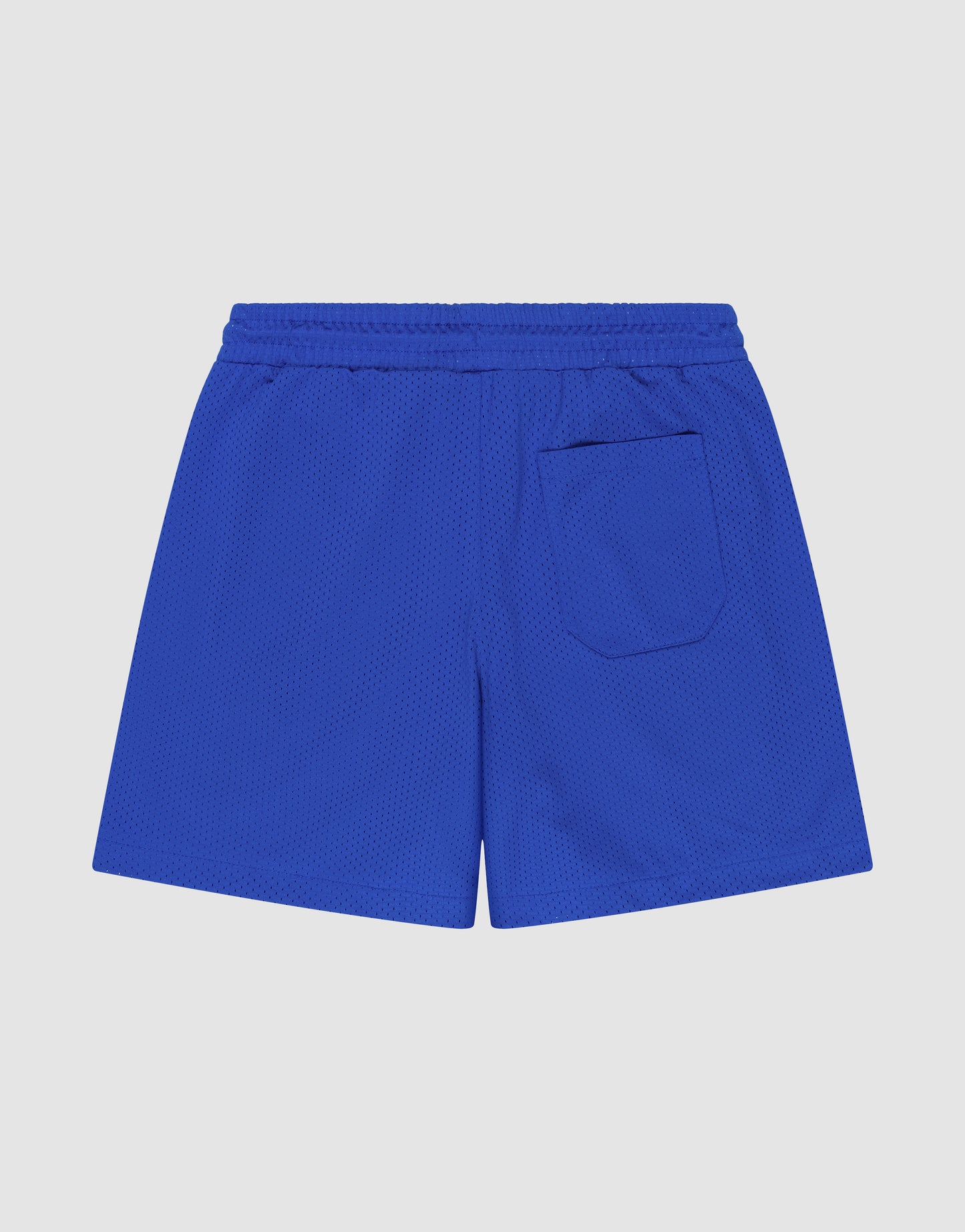 LIVE FAST DIE YOUNG Basic Mesh Shorts in bright blue, crafted from lightweight polyester with an elastic waistband and single back pocket, shown on a plain white background.