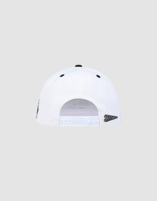 The LFDY Snapback by LIVE FAST DIE YOUNG is shown from the back, featuring an adjustable snap closure, small black multi-logo stitching, and a green underbrim, set against a plain light gray background.