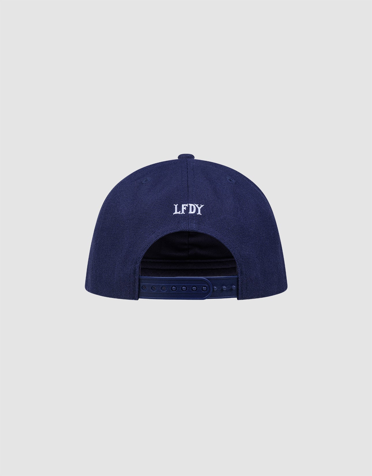 The LFDY Snapback by LIVE FAST DIE YOUNG is shown from the back on a light gray background, featuring white embroidered LFDY letters and style code LF2605-20880 above the adjustable Snapverschluss strap.