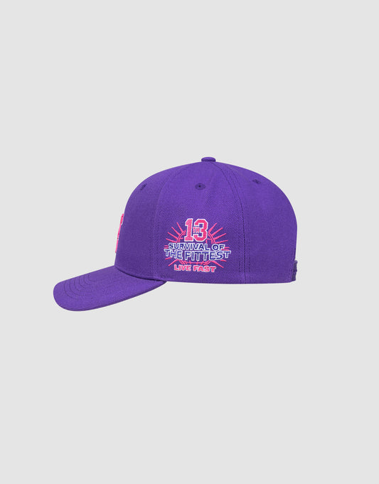 The LFDY Snapback by LIVE FAST DIE YOUNG is a purple cap with pink "13 Survival of the Fittest Live Fast" embroidery, a green Schirmunterseite, and a Snapverschluss, displayed on a plain light gray background.