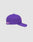 The LFDY Snapback by LIVE FAST DIE YOUNG is shown from the side in purple with a curved brim, green underside, pink and white multi-logo embroidery on front and side, and a snap closure, set against a light gray background.
