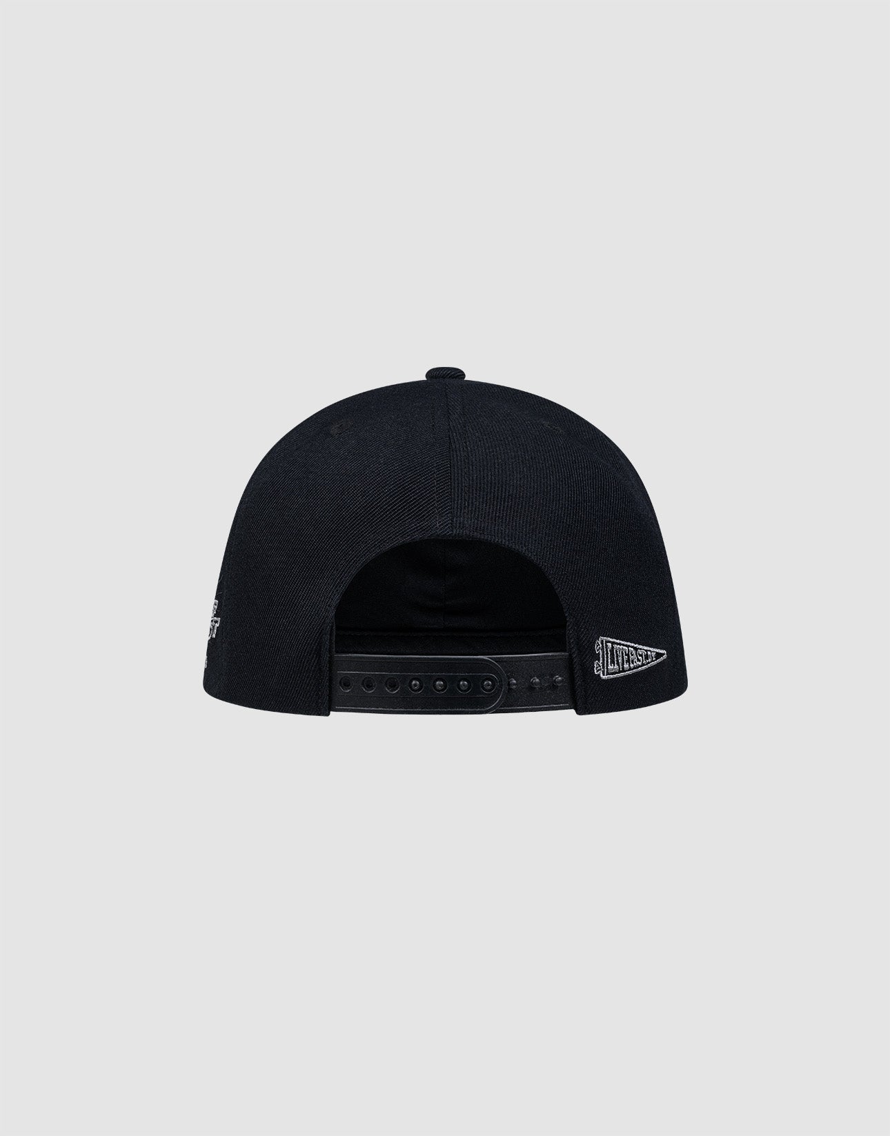 The LFDY Snapback by LIVE FAST DIE YOUNG is shown from the back with a black Snapverschluss, two small white Multi-Logo-Stick embroideries on the sides, and a gray Schirmunterseite. The background is plain light gray.