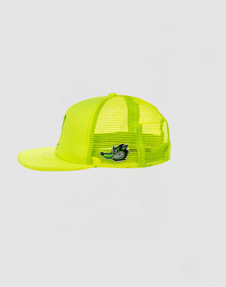 Y Trucker Cap