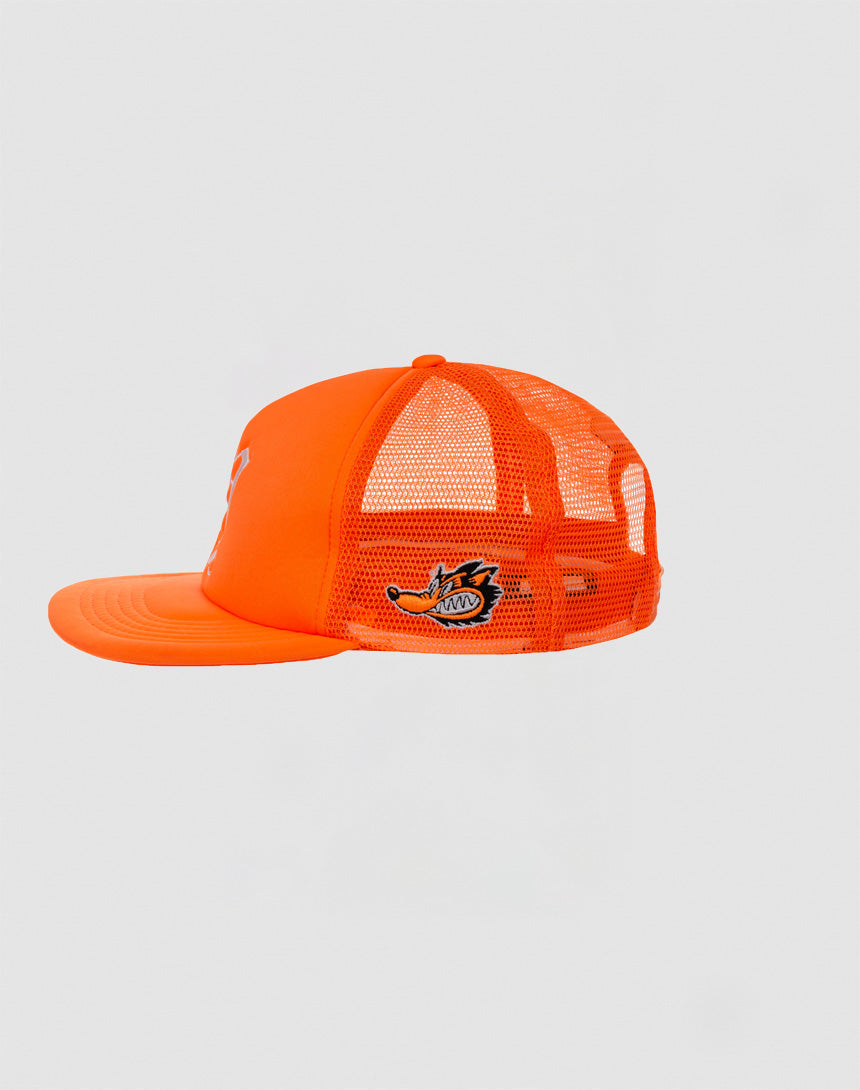 Y Trucker Cap