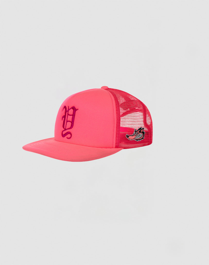 Y Trucker Cap