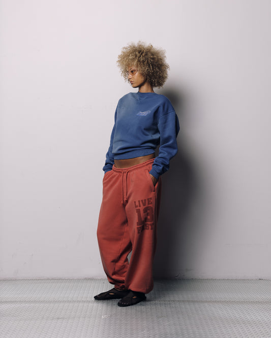 LFDY 13 Jogger