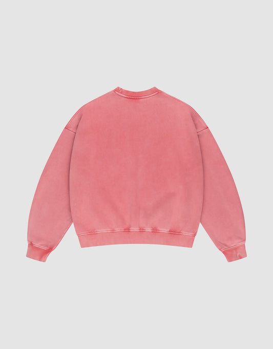 The LIVE FAST DIE YOUNG Basic LiveFast Sweater is shown from the back in faded pink with a handmade fade effect, crew neckline, ribbed cuffs, and a ribbed waistband against a light gray background.