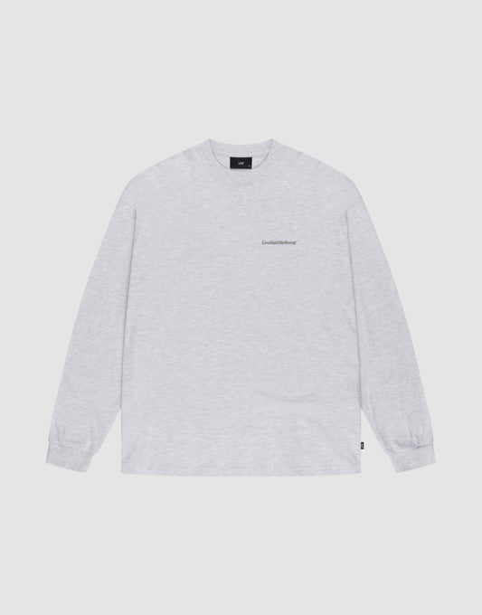 The LIVE FAST DIE YOUNG Basic Longsleeve is an oversized, light gray crewneck shirt with long sleeves and a small logo print on the left chest, shown laid flat on a white background. | plain