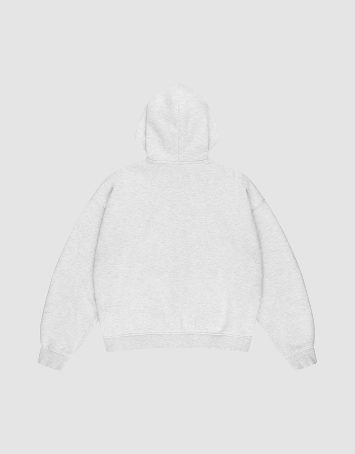 The LIVE FAST DIE YOUNG Basic Hooded Zip, an oversized light gray sweatshirt with long sleeves and ribbed cuffs and hem, is shown flat from the back on a matching light gray background.