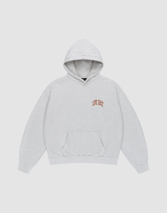 The LIVE FAST DIE YOUNG Live Fast Amsterdam Hooded is a light gray, oversized 100% Baumwolle sweatshirt with a front pouch pocket, small red LIVE EAST text on the chest, and subtle prints, shown on a plain white background.