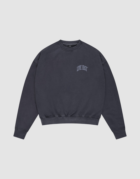 The Live Fast Berlin Sweater by LIVE FAST DIE YOUNG is a dark gray, oversized crewneck made from 100% cotton. It features "LIVE FAST" in small light gray letters on the left chest, set against a light background.