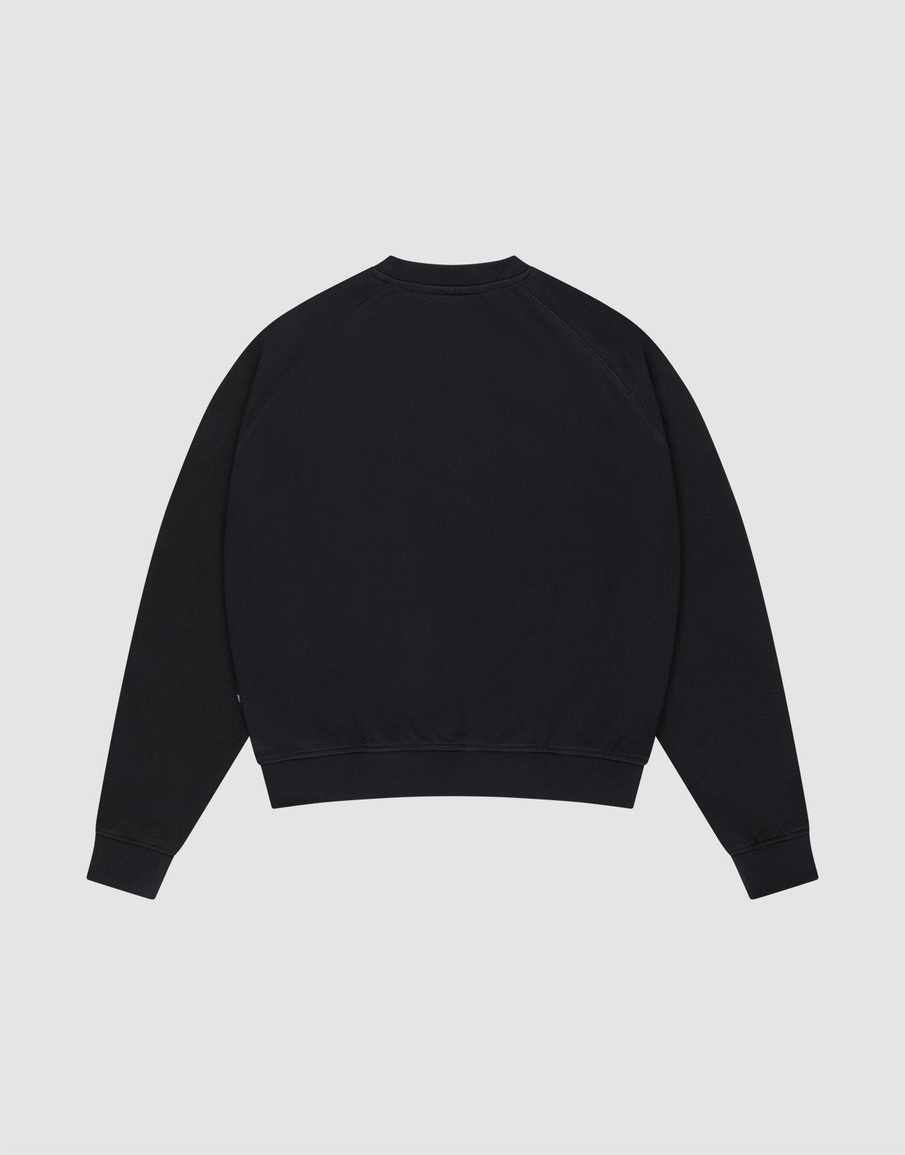 The DY Sweater by LIVE FAST DIE YOUNG is a plain black crewneck with Raglan sleeves, ribbed cuffs and hem, shown from the back on a light gray background. Made from 100% Baumwolle for comfort.