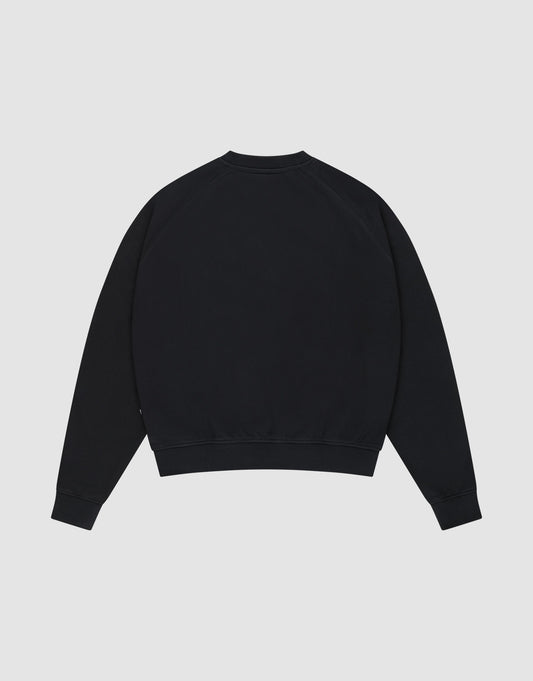 The DY Sweater by LIVE FAST DIE YOUNG is a plain black crewneck with Raglan sleeves, ribbed cuffs and hem, shown from the back on a light gray background. Made from 100% Baumwolle for comfort.