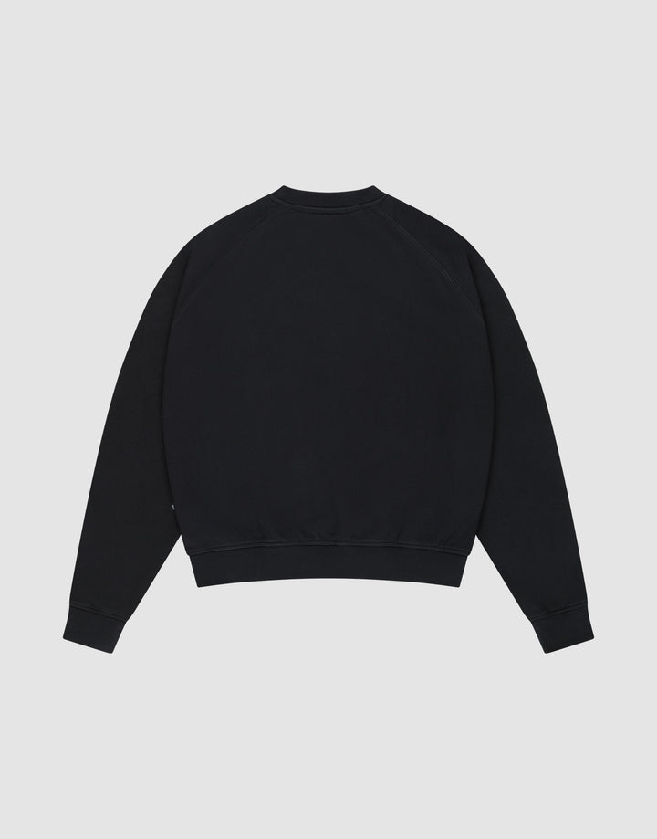 The DY Sweater by LIVE FAST DIE YOUNG is a plain black crewneck with Raglan sleeves, ribbed cuffs and hem, shown from the back on a light gray background. Made from 100% Baumwolle for comfort.