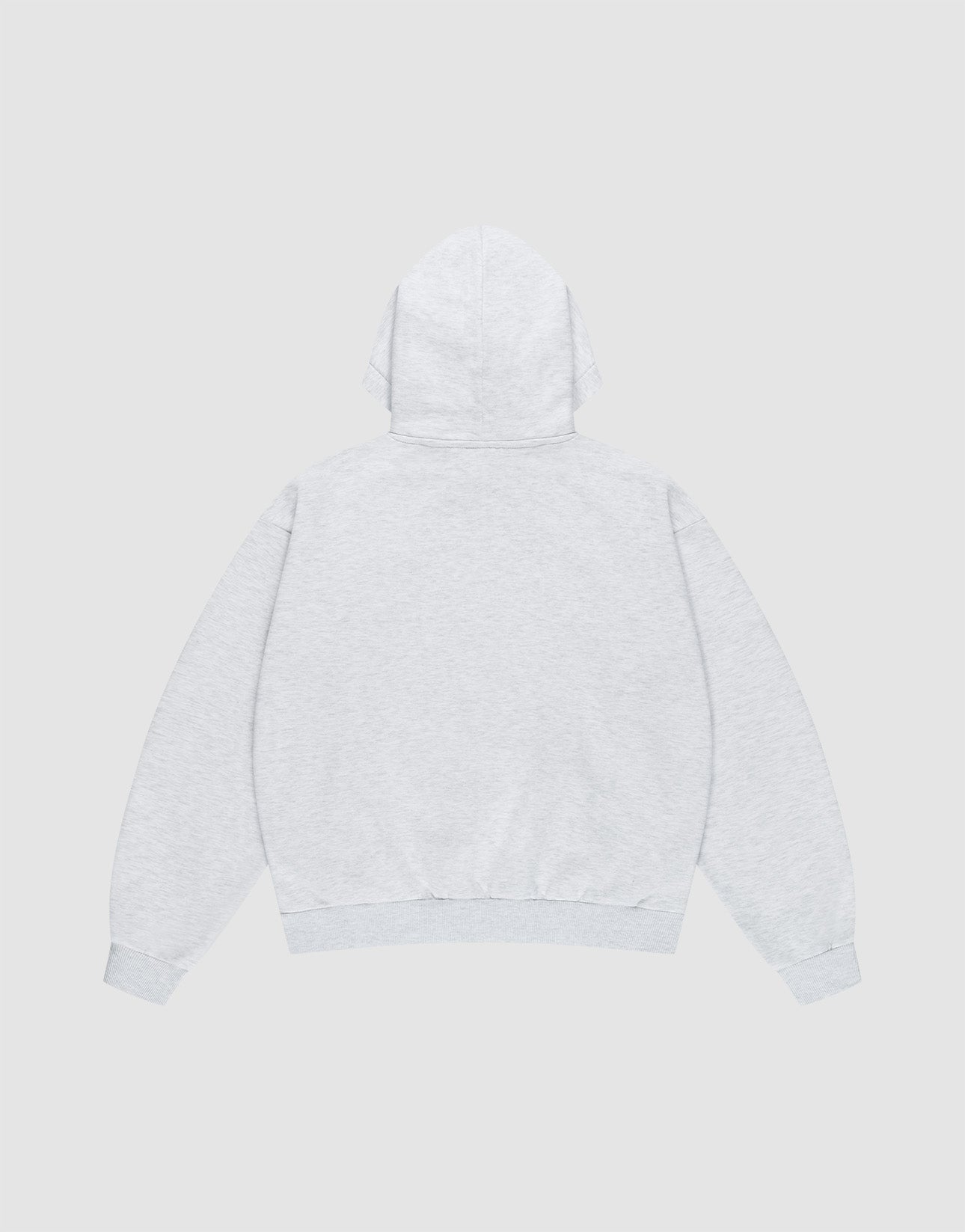 Back view of the LIVE FAST DIE YOUNG Live Fast Die Young Hooded—a plain, light gray oversized sweatshirt with long sleeves, ribbed cuffs and hem—shown against a neutral background.