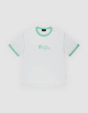 plain