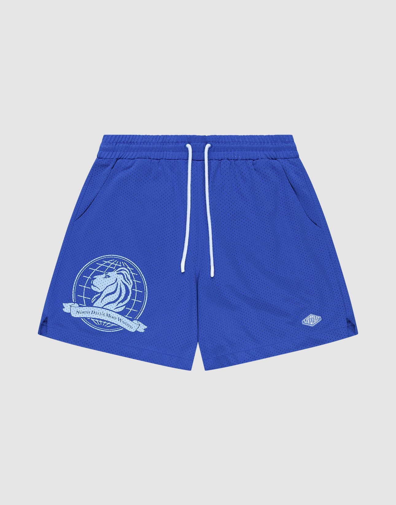 LFDY Data Mesh Shorts