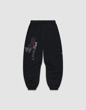 plain