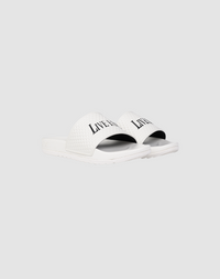 LFDY Slides