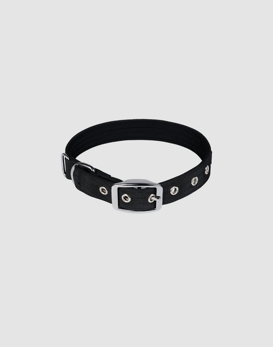 Dog Collar & Leash Set