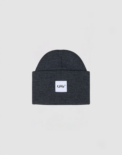 The LFDY Labeled Beanie is a dark gray polyacryl hat with a folded brim and a white rectangular patch featuring the LFDY logo in black, shown against a light gray background.