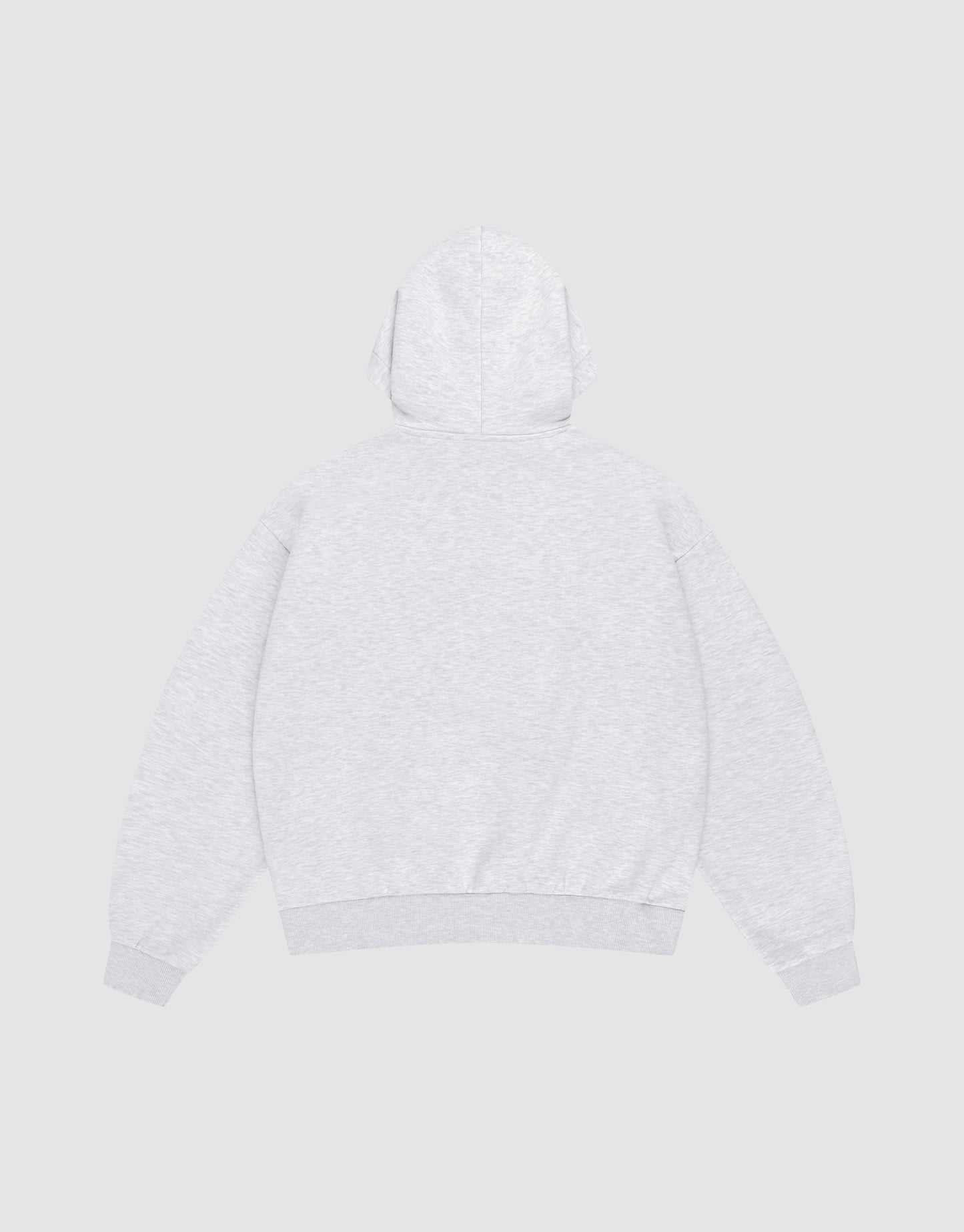 The LIVE FAST DIE YOUNG Live Fast Box Hooded hoodie in light gray is shown laid flat from the back, hood up and sleeves spread out, on a matching light gray background.