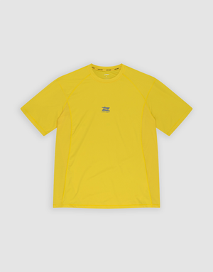 plain