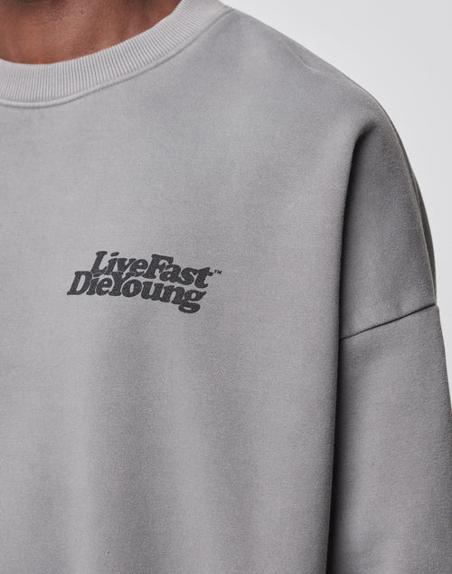 A close-up of a person wearing the Basic Chest Sweater by LIVE FAST DIE YOUNG, featuring a light gray Baumwolle-Polyester blend, topstitching, and black Live Fast Die Young text on the upper left chest.