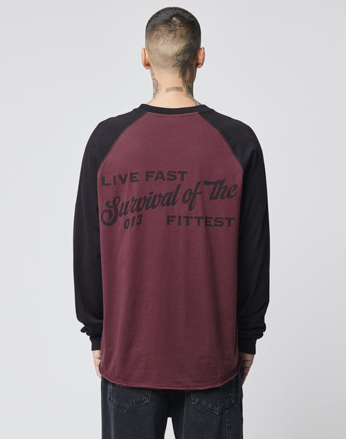 Seen from behind, a person with short hair wears the LIVE FAST DIE YOUNG Survival Longsleeve in maroon and black, featuring LIVE FAST Survival of the FITTEST 013 on the back. Made from 100% cotton for lasting comfort.