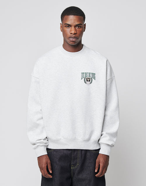 A man faces forward wearing the LIVE FAST DIE YOUNG Live Fast Die Young Chest Sweater, a light gray, oversized top with vintage effect and a small roaring tiger graphic plus Live Fast Die Young text on the left chest, paired with dark jeans.