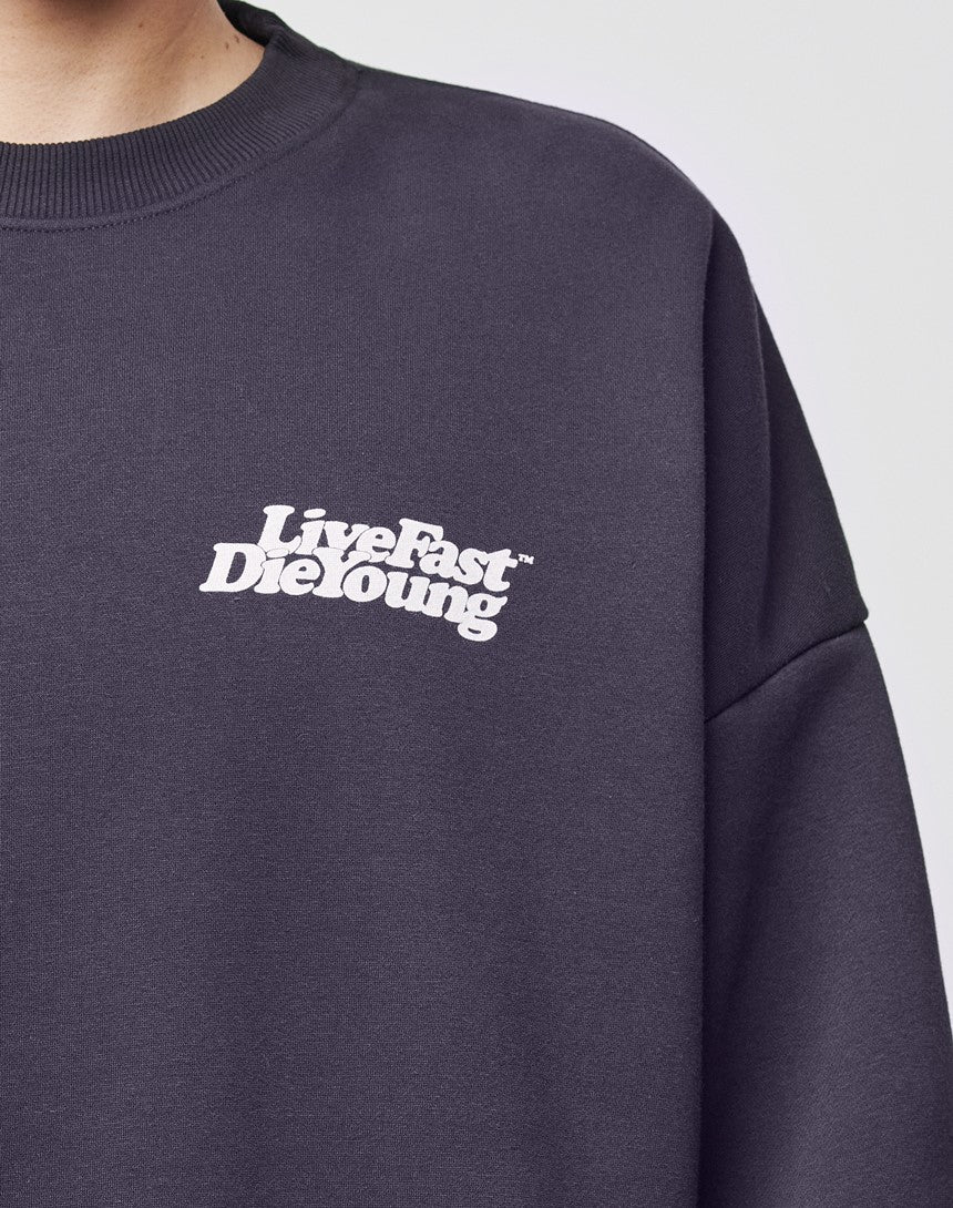 A person wears the Basic Chest Sweater by LIVE FAST DIE YOUNG, an oversized cotton sweatshirt with a bold white "Live Fast Die Young" chest print. Only their upper body appears against a light background.