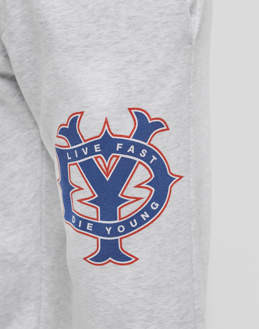 Close-up of light gray fabric with a blue and red LIVE FAST DIE YOUNG emblem and subtle Vintage-Effekt. Perfect match for your DY Sweat Jogger.