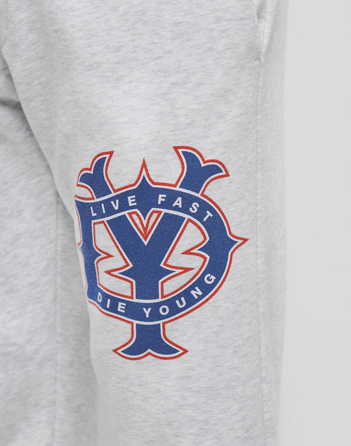 Close-up of light gray fabric with a blue and red LIVE FAST DIE YOUNG emblem and subtle Vintage-Effekt. Perfect match for your DY Sweat Jogger.